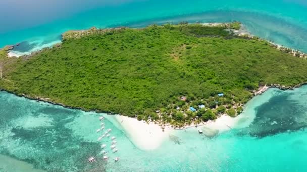 Górny Widok Wybrzeże Wyspy Piękną Plażą Palmami Wyspa Dziewicza Filipiny — Wideo stockowe
