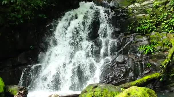 Tropical Waterfall Jungles Slow Motion Malisbog Falls Negros Philippines — Stock Video