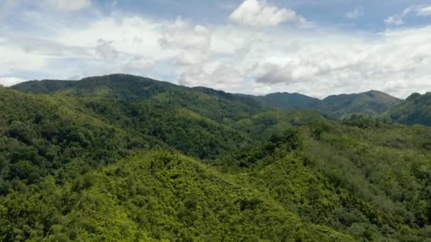 Aerial View Mountains Covered Rainforest Trees Blue Sky Clouds Sumatra — Stock Video