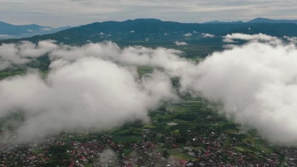 Pesawat Tanpa Awak Dari Lembah Dengan Perkebunan Teh Dan Lahan — Stok Video