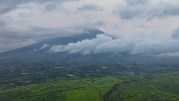 在日落时 加代阿罗茶园和Kerinci火山 热带地区的茶园 印度尼西亚苏门答腊 — 图库视频影像