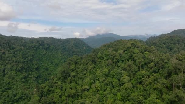 空中无人侦察机的山脉和山坡与热带雨林 Bukit Lawang 印度尼西亚苏门答腊 — 图库视频影像