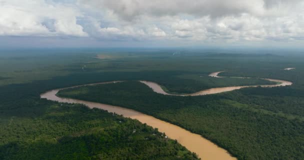 Widok Lotu Ptaka Rzekę Kinabatangan Wśród Lasów Deszczowych Dżungli Borneo — Wideo stockowe