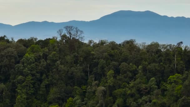 Orman Yağmur Ormanlarıyla Dağların Arasında Bir Kasaba Berastagi Sumatra Endonezya — Stok video