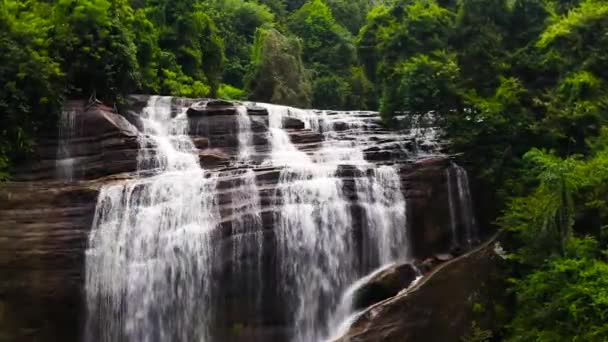 밀림의 에서의 폭포수 스리랑카 폭포에 무인기 — 비디오