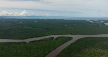 Bataklıkları ve mangrovları olan sulak alanların hava aracı. Menumbok orman rezervi. Borneo, Sabah, Malezya.