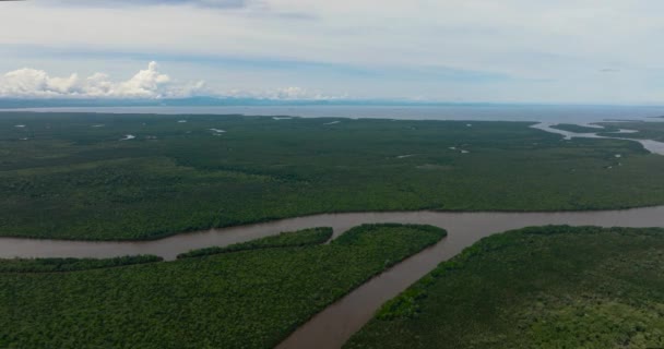 Dron Aéreo Humedales Con Manglares Pantanos Reserva Forestal Menumbok Borneo — Vídeo de stock