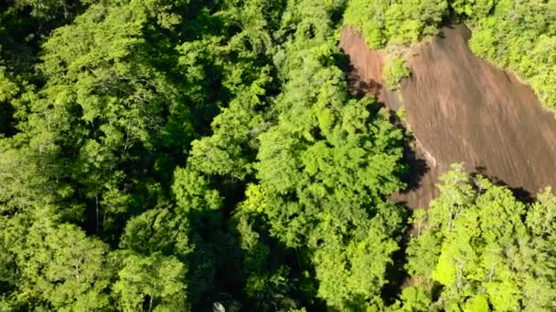 Luchtfoto Van Groenblijvende Jungle Het Regenwoud Het Eiland Borneo Sabah — Stockvideo