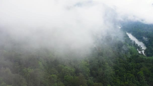 Luchtfoto Van Bos Berghellingen Door Mist Wolken Mystiek Landschap Sri — Stockvideo