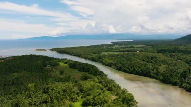 River Midst Rainforest Flowing Sea Negros Philippines — Stock Video