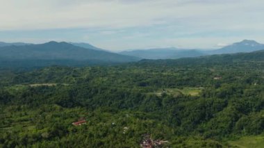 Büyüyen pirinç ekinleri, bir dağ vadisinde sebzeler olan tarım arazisi manzarası. Bukittinggi, Sumatra. Endonezya.