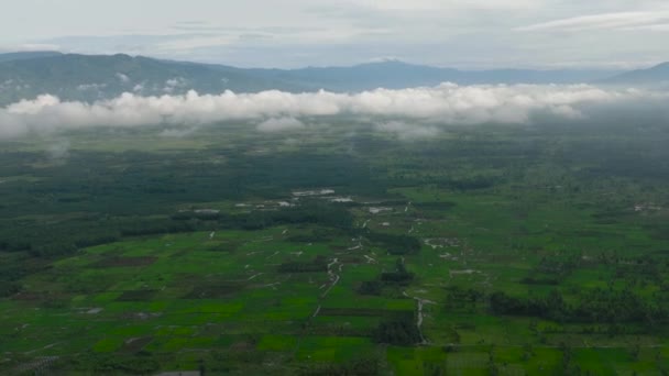 Lucht Drone Van Het Platteland Met Landbouwgrond Rijstvelden Sumatra Indonesië — Stockvideo