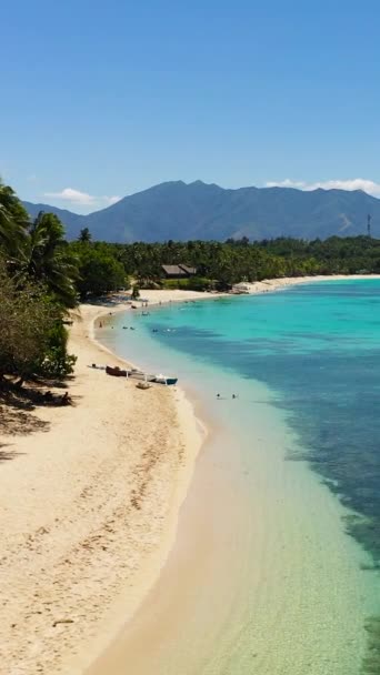 Μια Τροπική Παραλία Φοίνικες Και Γαλάζιο Ωκεανό Pagudpud Ilocos Norte — Αρχείο Βίντεο