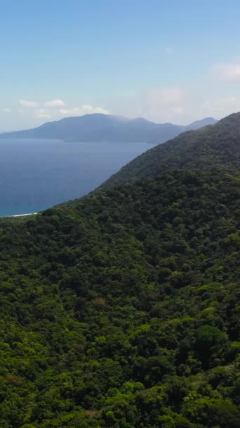 有热带森林和蓝色海洋的高山无人驾驶飞机 热带风景 菲律宾 — 图库视频影像