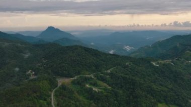 Yeşil ormanlı dağların ve tarlaların havadan görünüşü. Borneo, Sabah, Malezya.