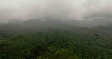 Dağlar ve tepeler. Sis ve bulutlarda orman ve bitki örtüsü. Sumatra, Endonezya.