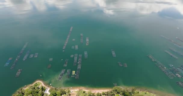 Maninjau Gölü Ndeki Kafesli Balık Çiftliğinin Iyi Manzarası Çiftçilik Ürünleri — Stok video