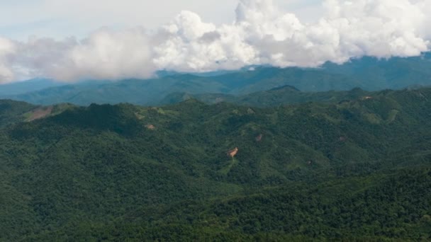 Dschungel Und Berge Auf Borneo Berghänge Mit Tropischer Vegetation Sabah — Stockvideo