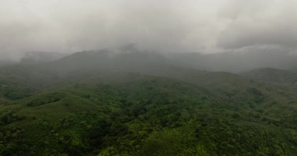 Góry Wzgórza Lasem Roślinnością Mgle Chmurach Sumatra Indonezja — Wideo stockowe