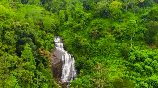 Водопады Среди Зеленого Леса Вид Сверху Куда Фолс Шри Ланка — стоковое видео