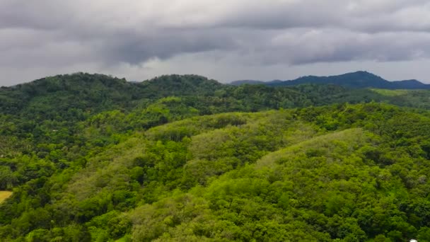 Bergen Met Regenwoud Jungle Bergachtige Provincie Sri Lanka — Stockvideo