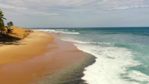 Aerial Drone Beautiful Tropical Beach Blue Ocean Baby Surf Point — Video