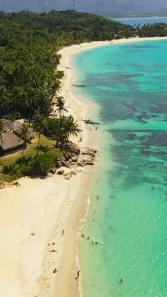 Αεροφωτογραφία Της Τροπικής Παραλίας Φοίνικες Και Γαλάζιο Ωκεανό Pagudpud Ilocos — Αρχείο Βίντεο