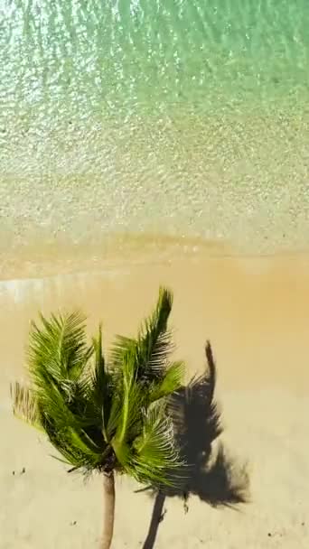 Seascape Tropical Sandy Beach Blue Ocean Pagudpud Ilocos Norte Philippines — Vídeo de stock