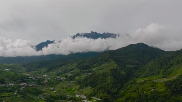 Kinabalu Dağı Eteğinde Bulunan Tarım Arazilerinin Insansız Hava Aracı Borneo — Stok video