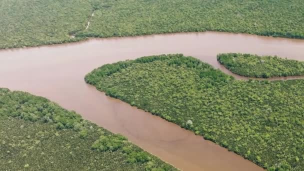 Nedves Területek Dzsungellel Mangrove Erdőkkel Menumbok Erdei Rezervátum Borneo Sabah — Stock videók