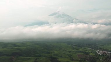 Dağların yamaçlarındaki çay tarlalarının en üst görüntüsü. Çay evi manzarası. Kayu Aro, Sumatra, Endonezya.