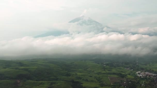 Pemandangan Terbaik Dari Perkebunan Teh Lereng Bukit Pegunungan Lanskap Teh — Stok Video