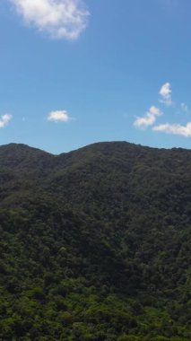 Dağ tepeleri ormanla kaplı dağ manzarasının hava aracı. Dağların yamaçlarında hep yeşil bitkiler olur. Filipinler.