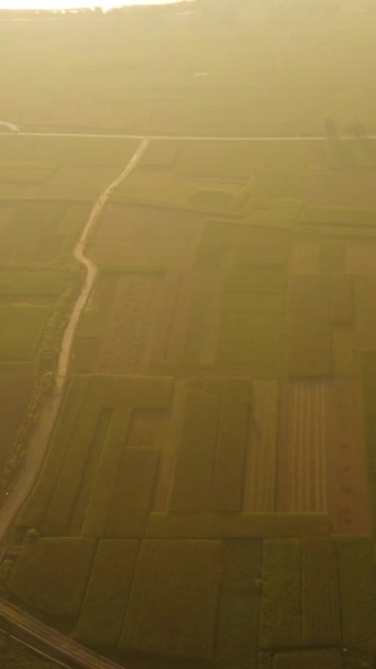Grunty Rolne Grunty Rolne Filipinach Podczas Zachodu Słońca — Wideo stockowe