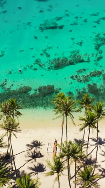 Drone Aérien Plage Tropicale Avec Des Palmiers Eau Lagune Bleue — Video