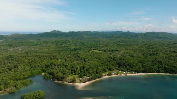 Aerial View Coastline Jungle Rainforest Borneo Sabah Malaysia — Stock Video