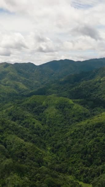 Vista Aérea Montañas Colinas Con Vegetación Verde Árboles Los Trópicos — Vídeos de Stock
