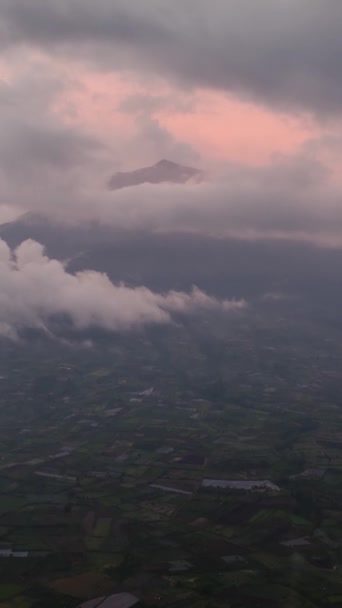 Kayu Aro Theeplantage Kerinci Vulkaan Bij Zonsondergang Uitzicht Van Boven — Stockvideo