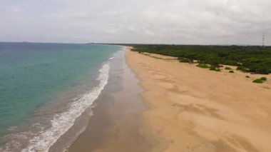 Aerial view of sandy beach with palm trees and ocean surf with waves. Sri Lanka.