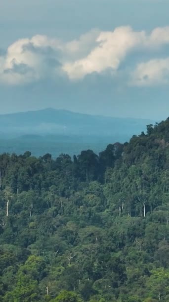 Paisagem Tropical Com Selva Floresta Tropical Sabah Bornéu Malásia — Vídeo de Stock