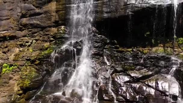 Waterfall Rainforest Jungle Tropical Sera Ella Falls Mountain Jungle Sri — Video Stock