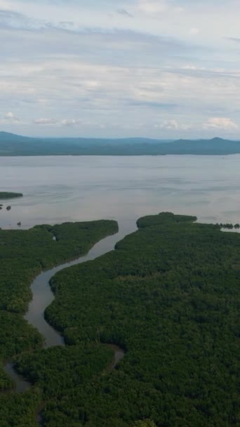 Letecký Dron Mangrovníků Pobřeží Ostrova Borneo Moře Rezervujte Mangrovníky Malajsie — Stock video