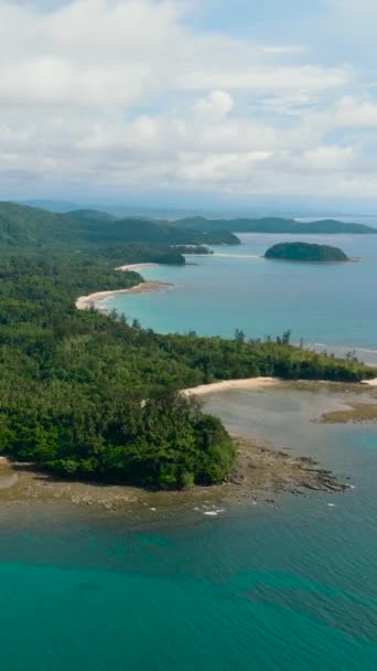 Drona Lotnicza Wyspy Borneo Pokryta Lasem Deszczowym Piaszczystą Plażą Borneo — Wideo stockowe