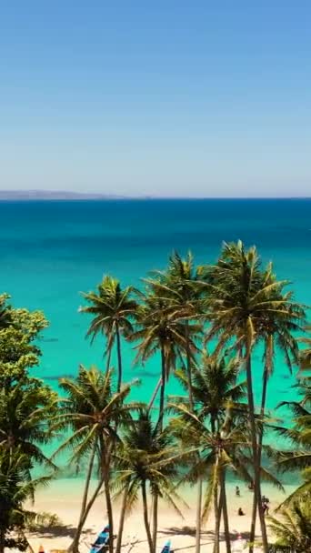 Tropical Beach Palm Trees Blue Ocean Pagudpud Ilocos Norte Philippines — Vídeo de stock