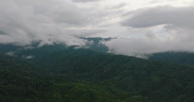 Tropikal ormanlı dağ yamaçları ve bulutlarla kaplı orman. Borneo, Malezya.