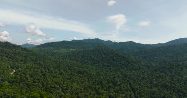 Bergen Heuvels Met Groene Vegetatie Bomen Tropen Borneo Maleisië — Stockvideo