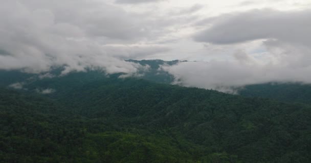 Hegyi Lejtők Trópusi Erdőkkel Felhőkkel Borított Dzsungellel Borneo Malajzia — Stock videók
