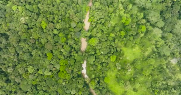 Uitzicht Vanuit Lucht Rivier Het Regenwoud Tussen Groene Jungle Borneo — Stockvideo