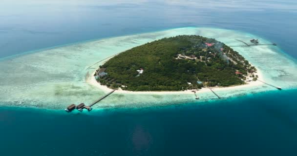Pantai Berpasir Yang Indah Pulau Pom Pom Seascape Tropics Tun — Stok Video
