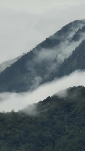 Luchtdrone Van Jungle Bergen Borneo Berghellingen Met Tropische Vegetatie Sabah — Stockvideo